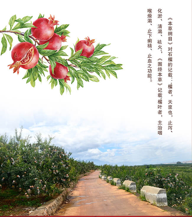 亞太石榴酒貴富人