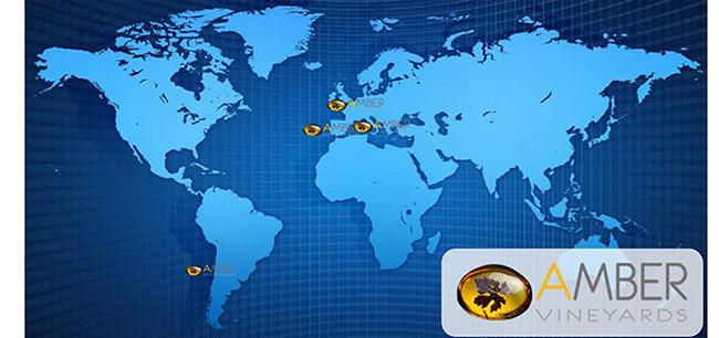 ��Ħ��ᄳ�ϼ��ɼt���Ѿơ�13��750ml��