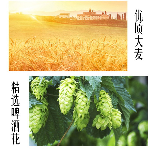 ������(zh��n)܇����p������ơ��