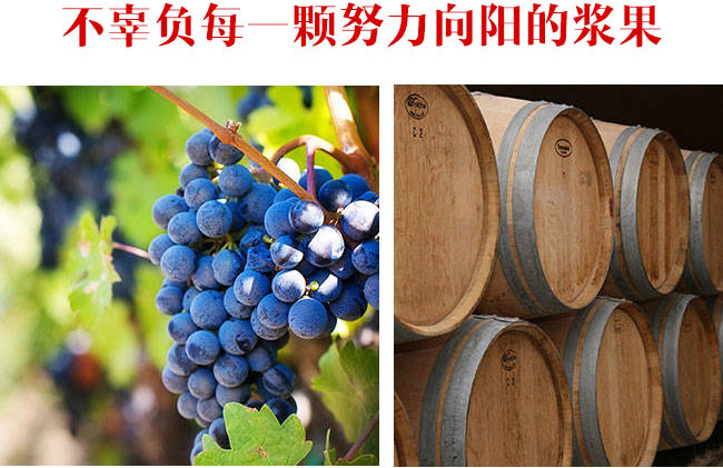 ���u�󎟳�ϼ��ɼt���Ѿ�