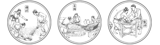 55�ȸ���ԭ�{��