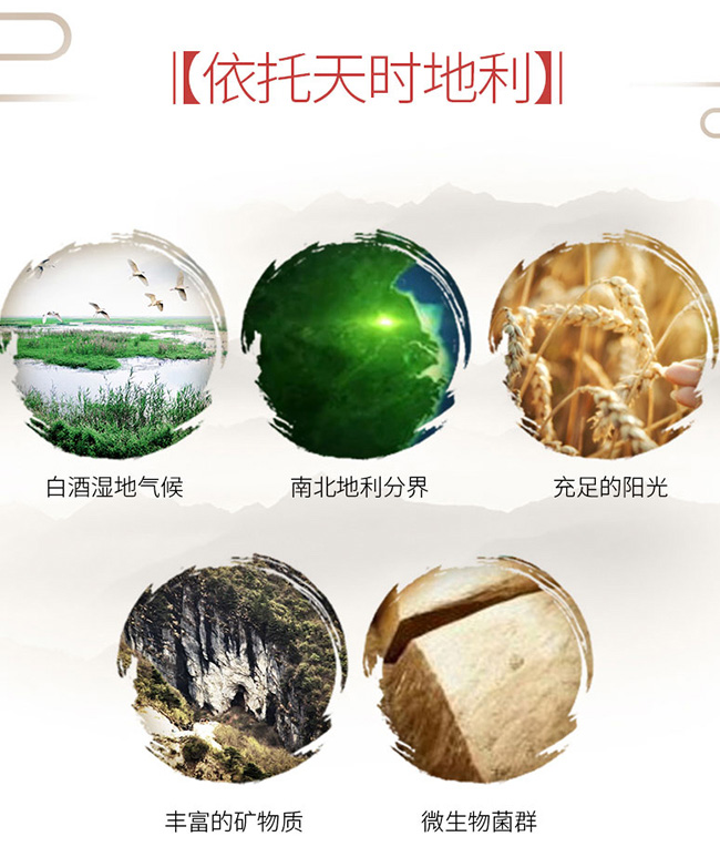 �����ݾ�����10