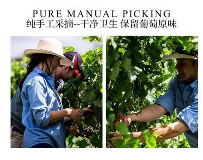 �ķ��f�@520�ɼt���Ѿ�750ml