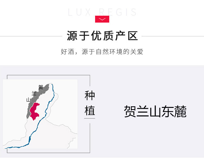 類(lèi)人首果香型赤霞珠干紅葡萄酒13°750ml