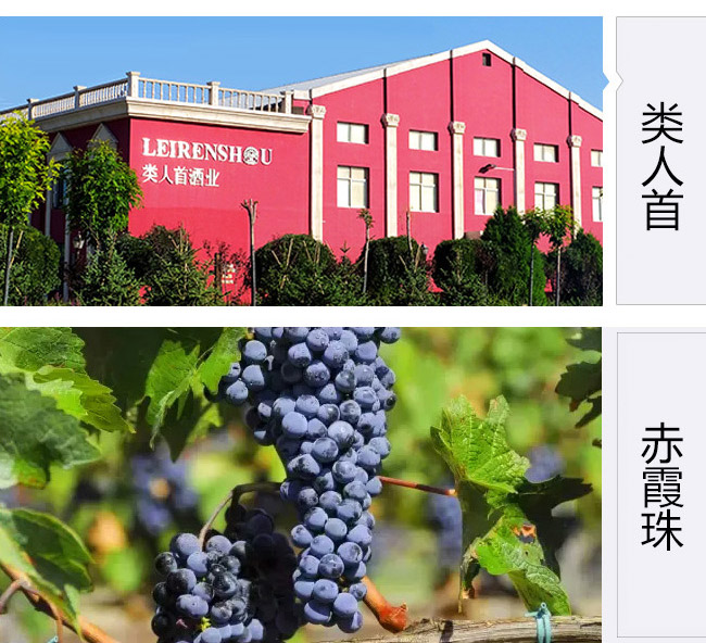 類(lèi)人首果香型赤霞珠干紅葡萄酒13°750ml