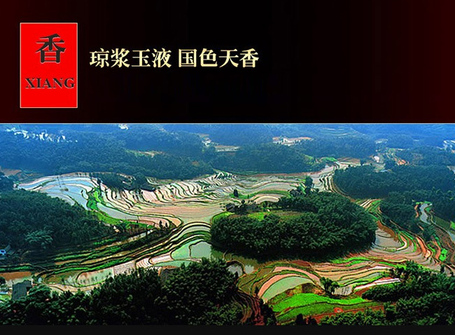 恭喜發(fā)財酒-珍釀