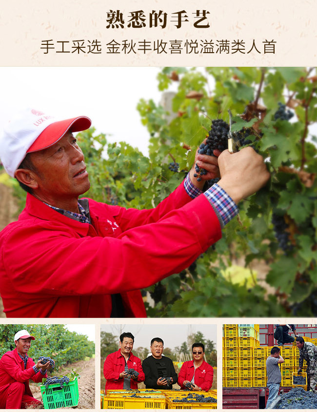 ����׽� ����ľͰ�Ѳ����Ѿ�13.5��750ml