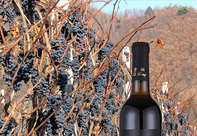 紫桐優(yōu)選冰凍山葡萄酒