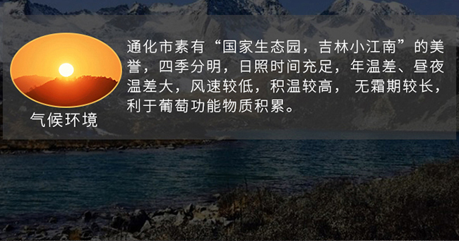 ��ͩ�������t���Ѿ�