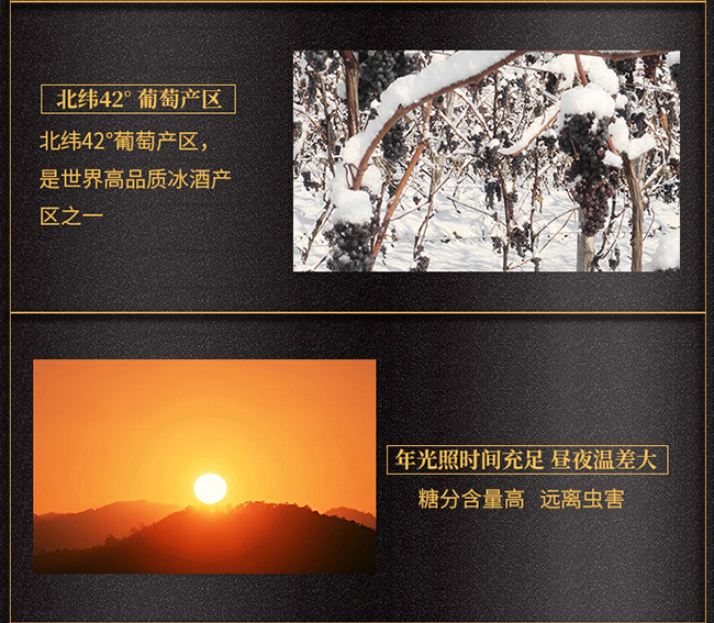 ��ͩ�������t���Ѿ�