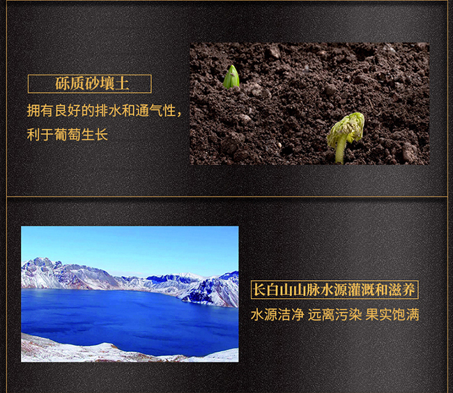 ��ͩ�������t���Ѿ�