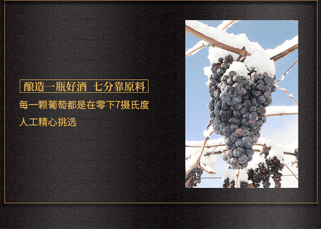 ��ͩ�������t���Ѿ�