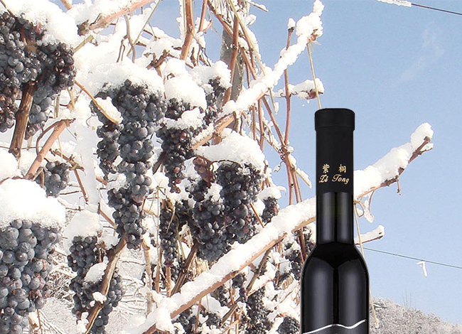 ��ͩ�������t���Ѿ�