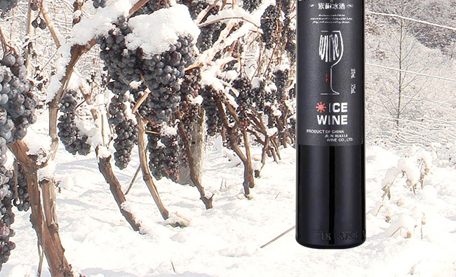 ��ͩ�������t���Ѿ�