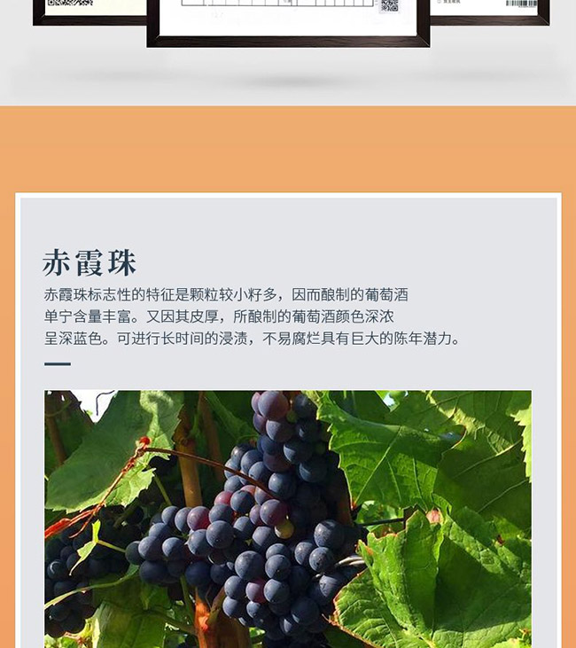 ��ؕ���f�ɼt���Ѿơ�15�� 750ml��