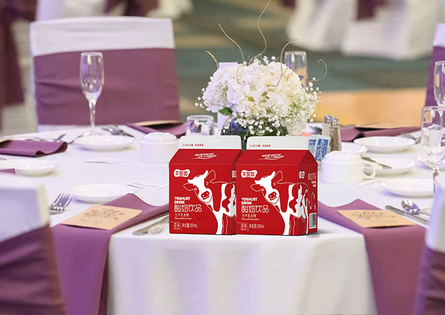 牛加加酸奶飲品生牛乳發(fā)酵300ml