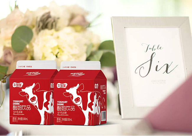 牛加加酸奶飲品生牛乳發(fā)酵300ml