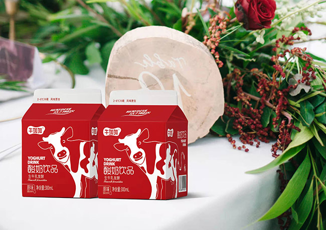 牛加加酸奶飲品生牛乳發(fā)酵300ml