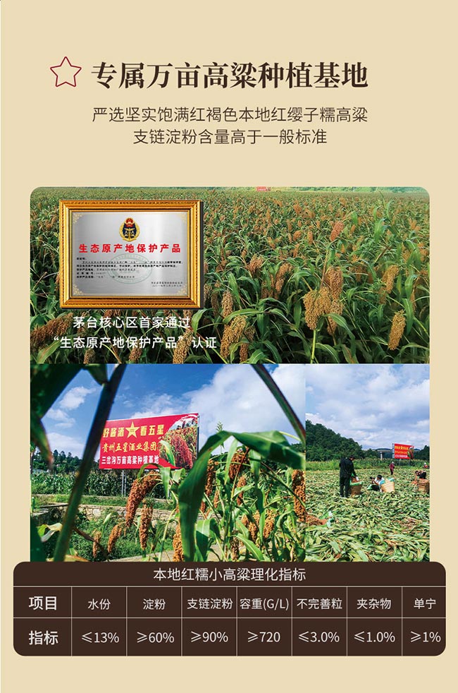 金權(quán)馬醬酒 醬香型白酒【53° 500ml】