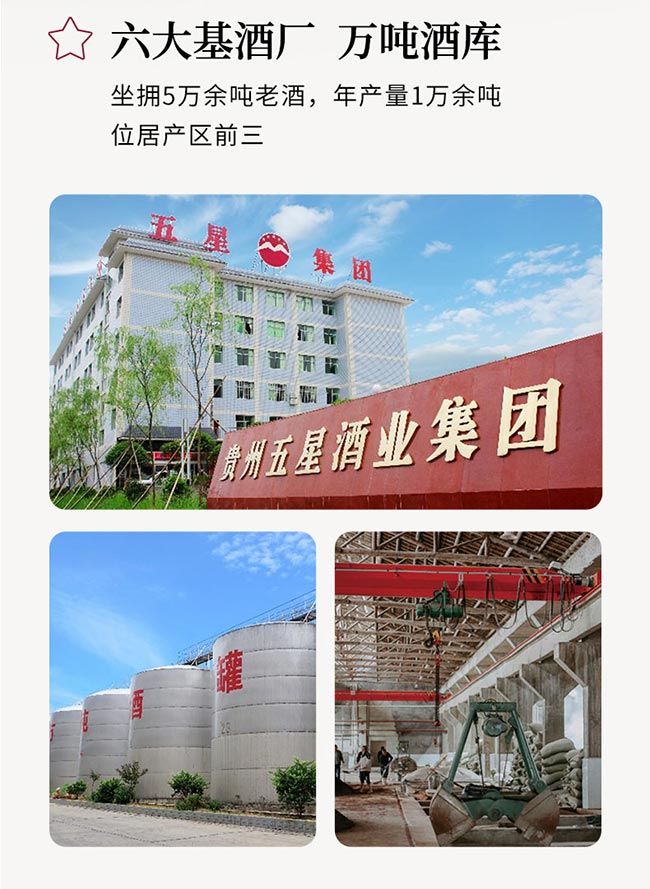 金權(quán)馬醬酒 醬香型白酒【53° 500ml】