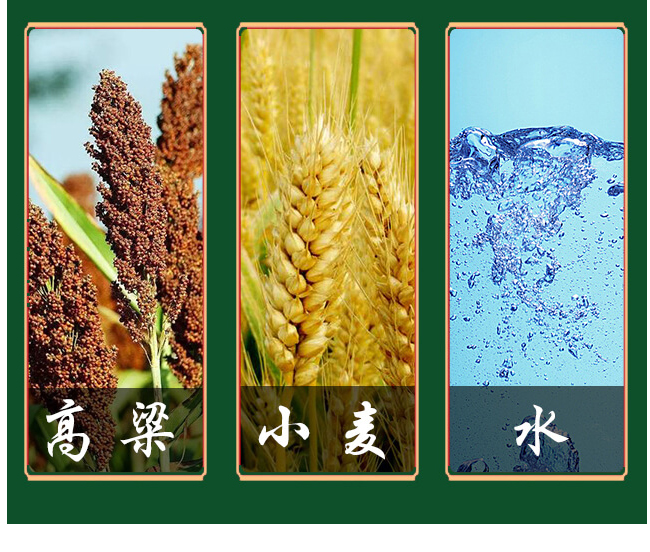 �����T��������^���{(l��n)ñ�����Ͱ׾�