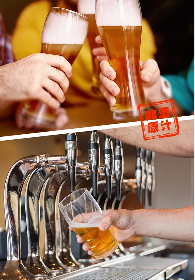 冰純啤酒【310ml】