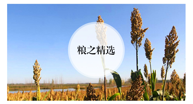 κ�񷻽��gԭ�{��16�����Ͱ׾ơ�42��52��500ml��