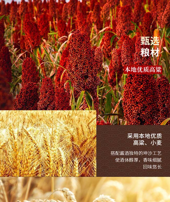 �≯�u���u���Ͱ׾ơ�53��500ml��