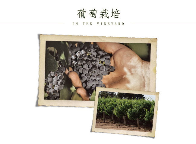 �Ĵ������ĉ�(m��ng)����������ɼt���Ѿ�