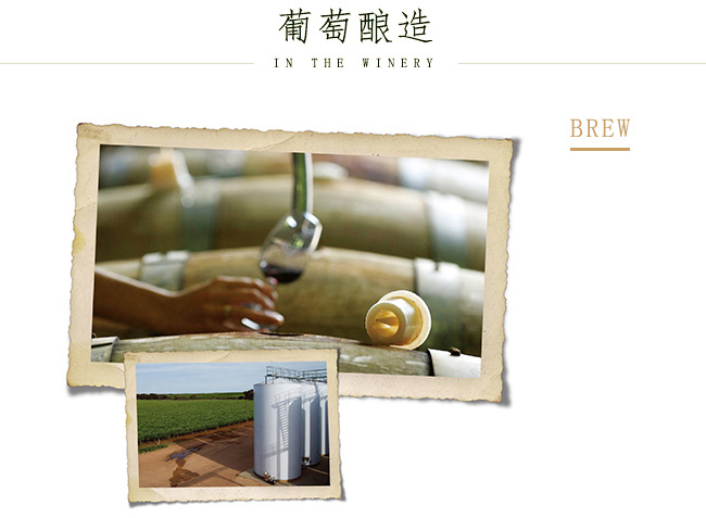 �Ĵ������ĉ�(m��ng)����������ɼt���Ѿ�