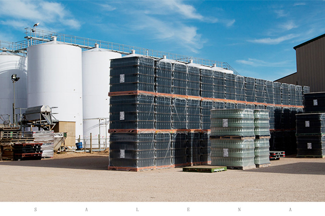 �Ĵ������ĉ�(m��ng)����������ɼt���Ѿ�