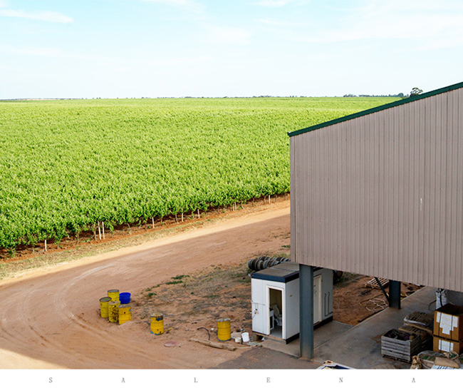 �Ĵ������ĉ�(m��ng)����������ɼt���Ѿ�