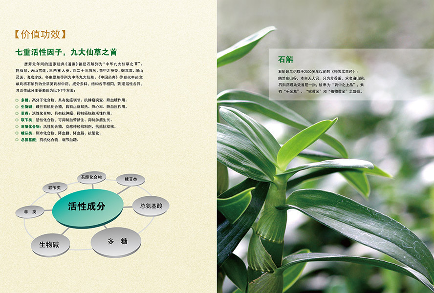 �����ϻ�ɽ�ƘI(y��)����؟(z��)�ι�˾