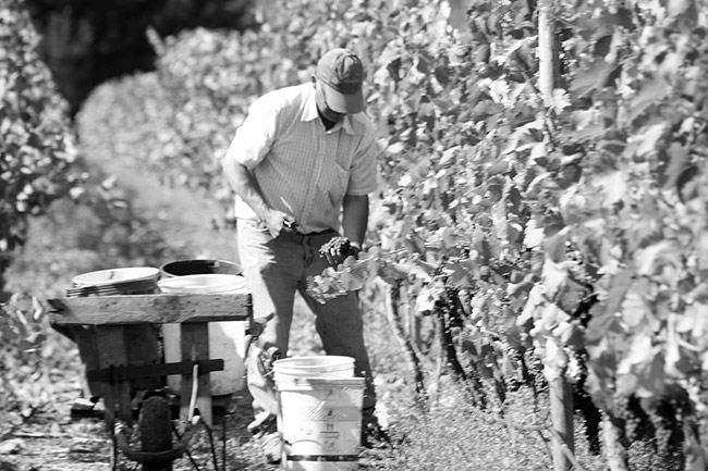 ·�װ�ϣ�{��������������ľͰ�ᄸɼt���Ѿơ�12�� 750ml��