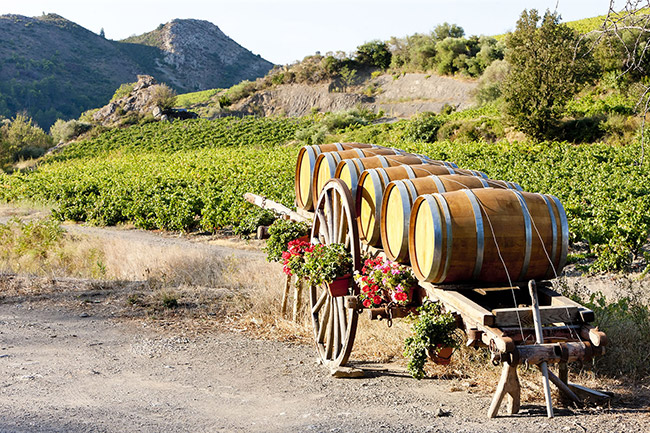 如色茜拉子干紅葡萄酒【13° 750ml】