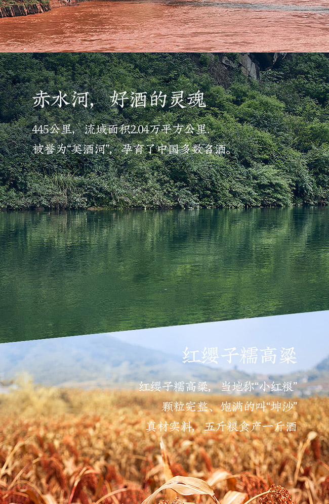 �[�uƷ�b�� �u���Ͱ׾ơ�53�� 500ml��