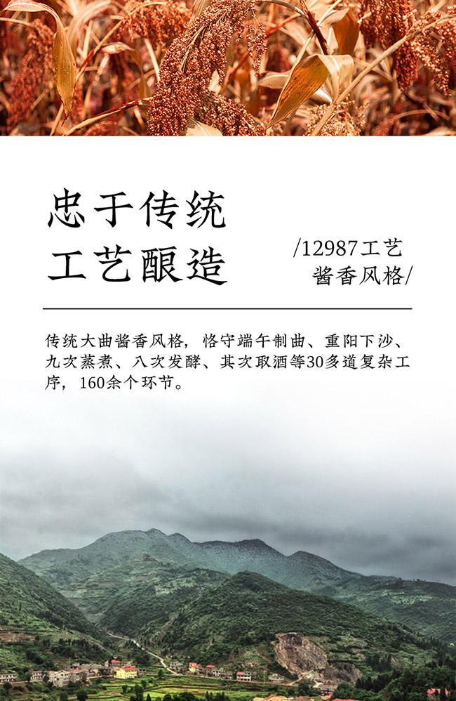 �[�uƷ�b�� �u���Ͱ׾ơ�53�� 500ml��