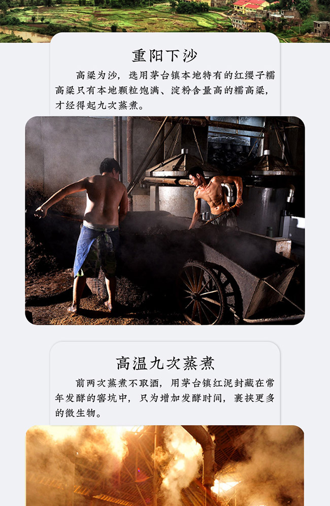 �[�uƷ�b�� �u���Ͱ׾ơ�53�� 500ml��