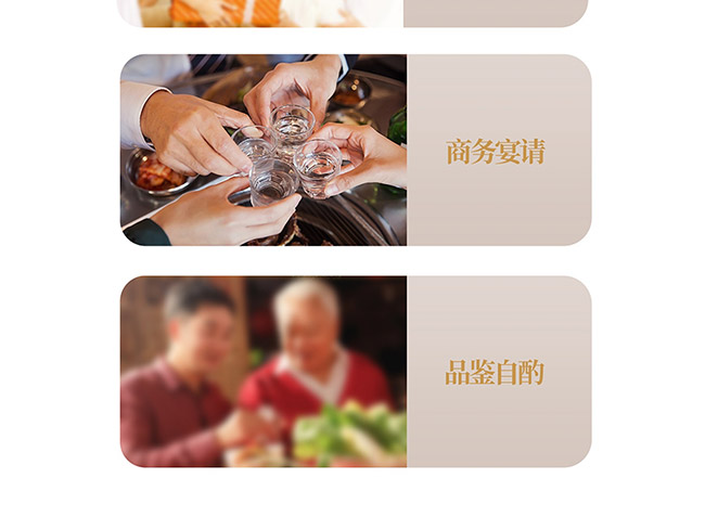 茅臺醇酒匠工珍品 柔和醬香型白酒【53° 500ml】