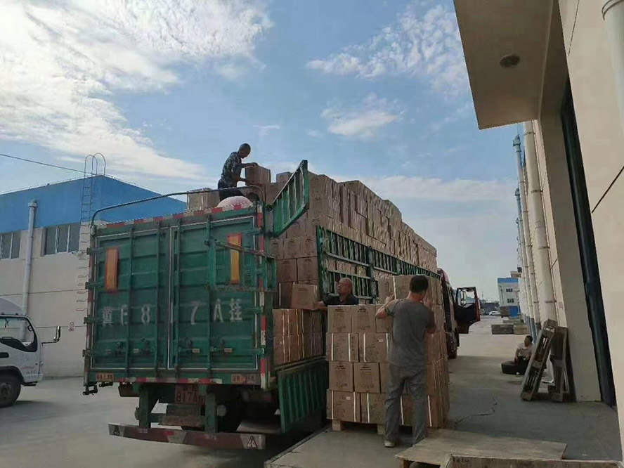 �F������ȫ���\�I����