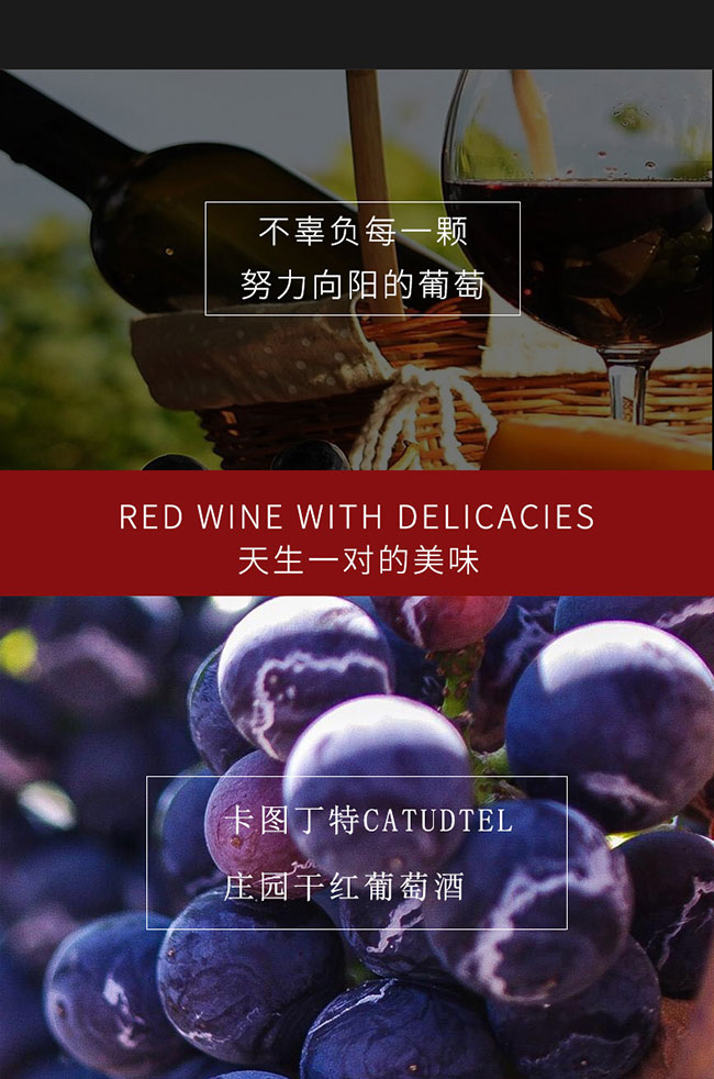 ���D�����f�@�ɼt���Ѿ�