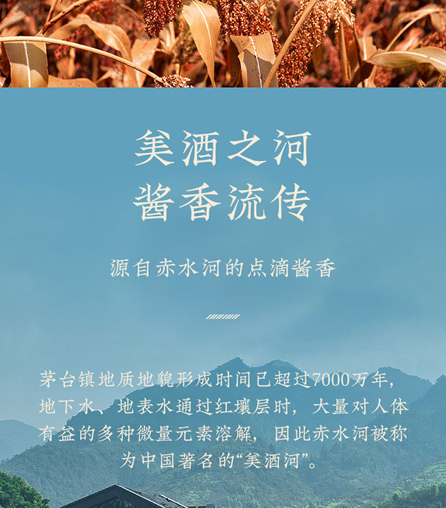 ǭ�^�󎟾� �u���Ͱ׾ơ�53�� 500ml��