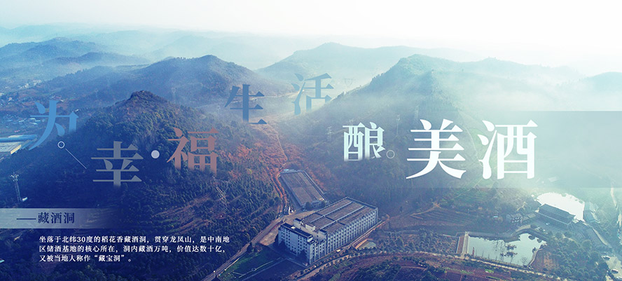 ���������㼯�F