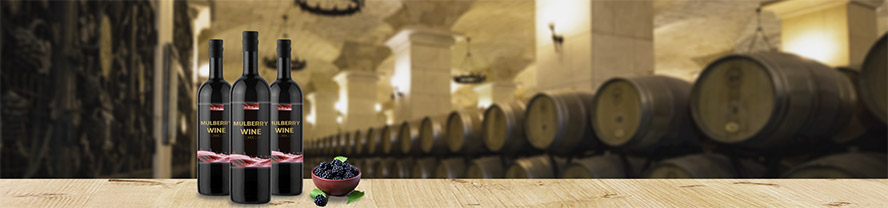  һ������B�T��ᄾ����޹�˾