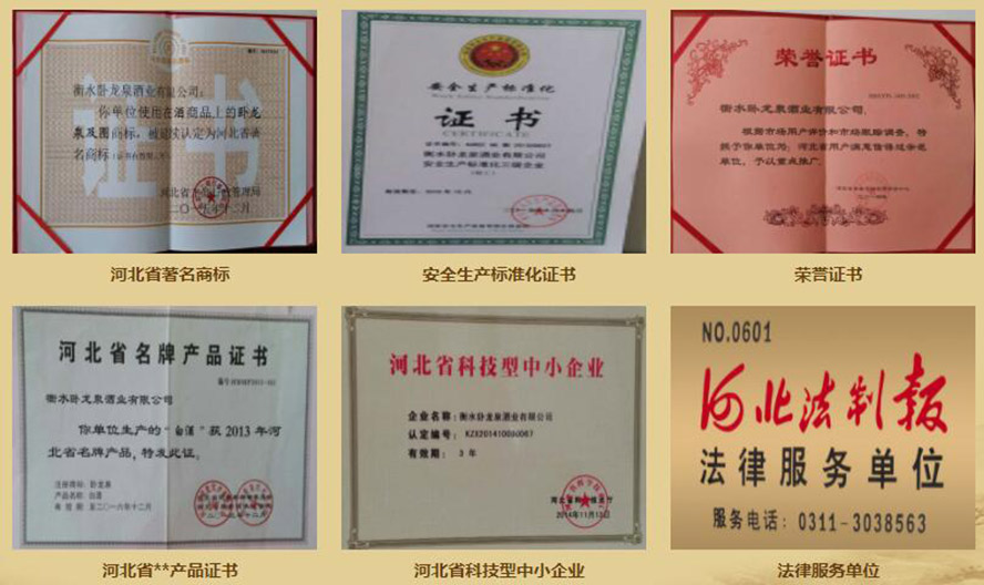 衡水衡大集團臥龍泉酒業(yè)