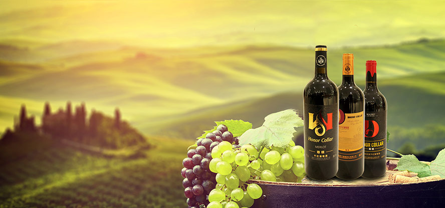 ���R�f�¸��ƘI(y��)���޹�˾