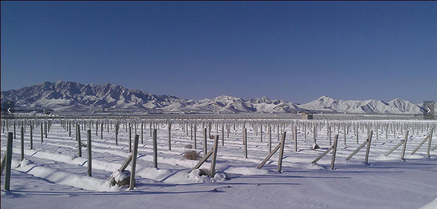     �с��Ͼ��f�@���Ѿ����޹�˾���a(ch��n)Ʒ����������