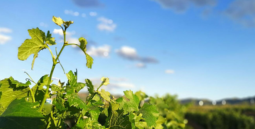     �с��Ͼ��f�@���Ѿ����޹�˾���a(ch��n)Ʒ����������