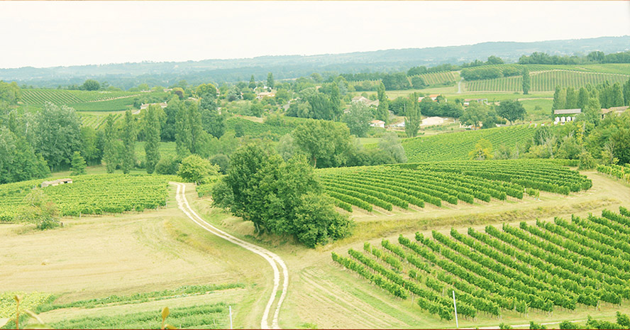 �ȷ����fɭ���Ѿ����޹�˾